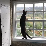 팜스테이 Quinta Do Pinheiro *