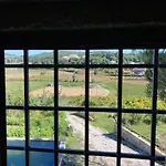 Quinta Do Pinheiro 팜스테이 귀마레스