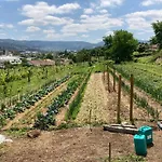 팜스테이 Quinta Do Pinheiro *