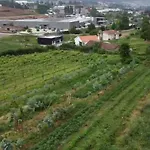 Quinta Do Pinheiro 팜스테이