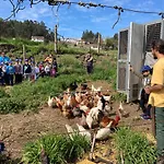 팜스테이 Quinta Do Pinheiro