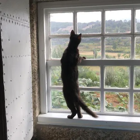 Κατάλυμα σε φάρμα Quinta Do Pinheiro *