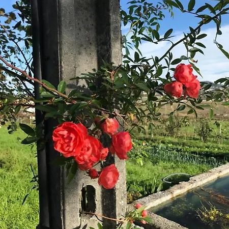 Quinta Do Pinheiro Farmház Guimarães