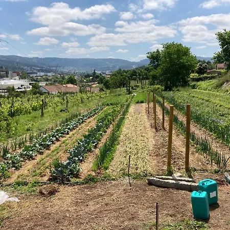 Κατάλυμα σε φάρμα Quinta Do Pinheiro *
