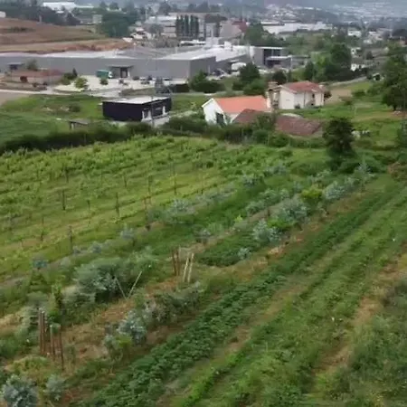 Quinta Do Pinheiro ファームステイ