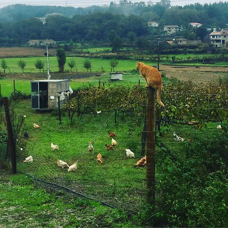 Quinta Do Pinheiro * Guimarães