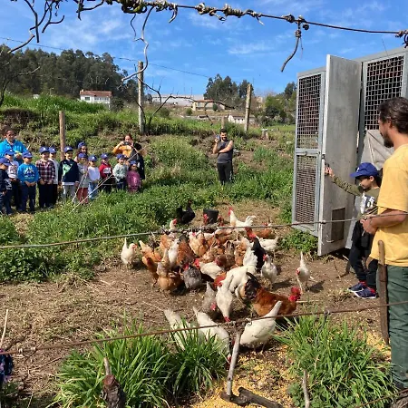 Κατάλυμα σε φάρμα Quinta Do Pinheiro