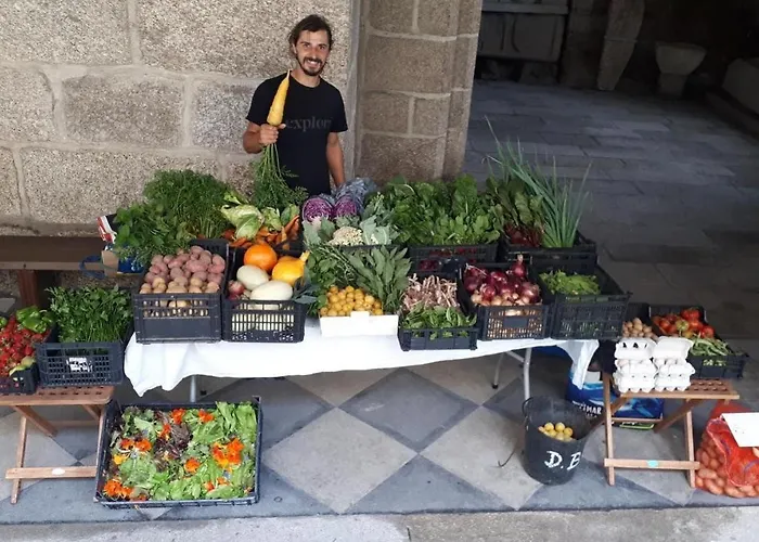 Quinta Do Pinheiro גימראייש