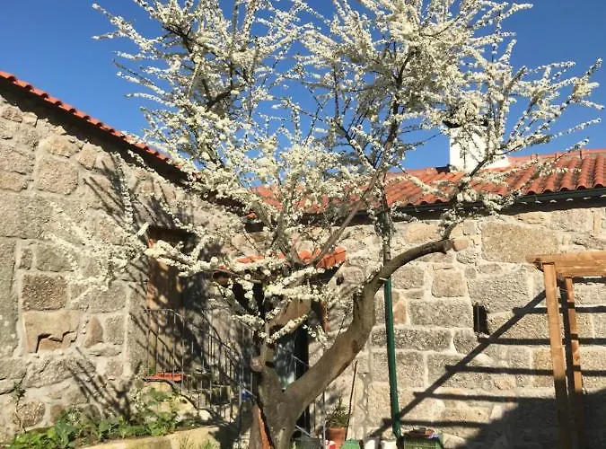 Quinta Do Pinheiro Lantgård Guimarães