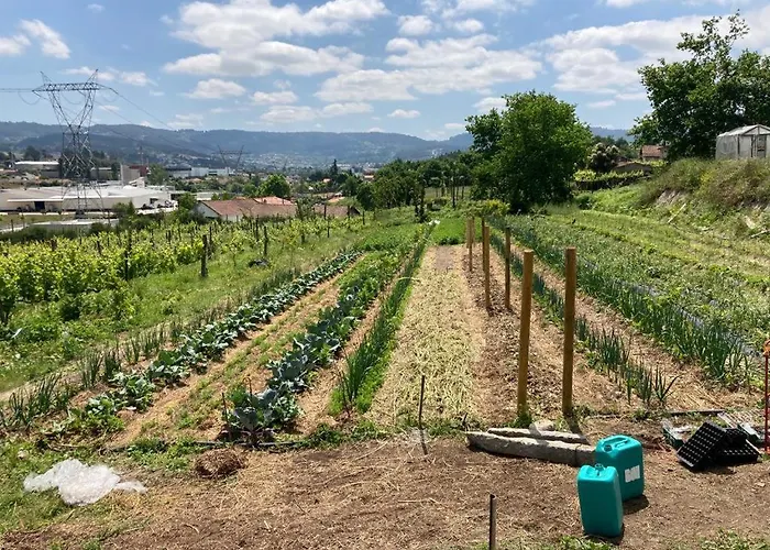 Lantgård Quinta Do Pinheiro *