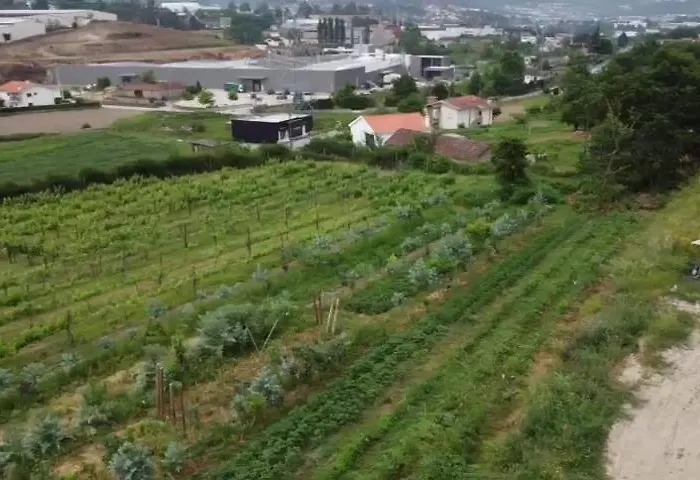 Quinta Do Pinheiro בית חווה