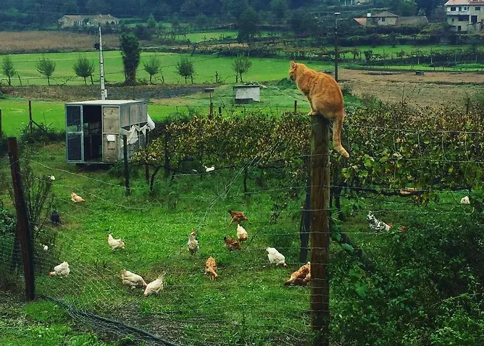 Quinta Do Pinheiro * Guimarães