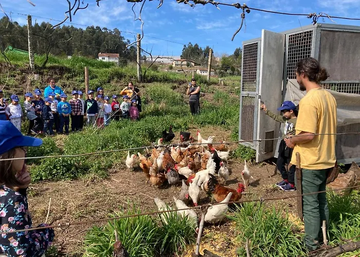 农家乐 Quinta Do Pinheiro